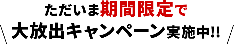 期間限定！大放出キャンペーン実施中！